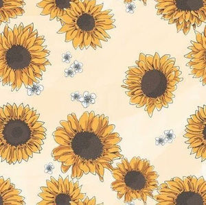 Meet your Posher, Colleen